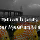 Monsoon Is Coming Is Your Aquarium Ready?