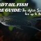 Swordtail Fish Care Guide – The Stylish Swimmers That Live Up to Their Name