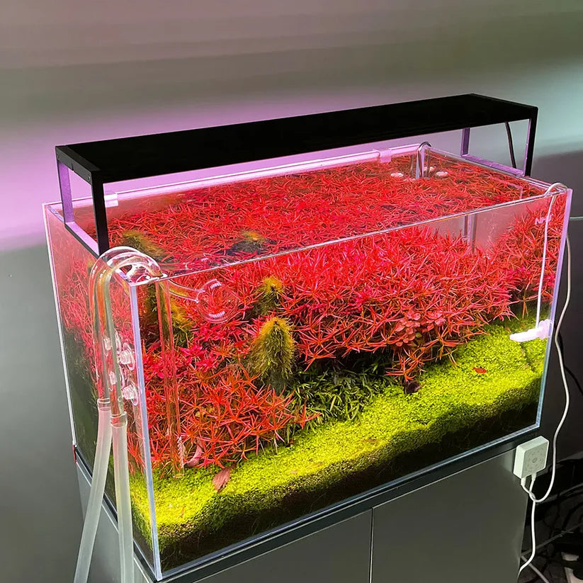 चिहिरोस WRGB II स्लिम