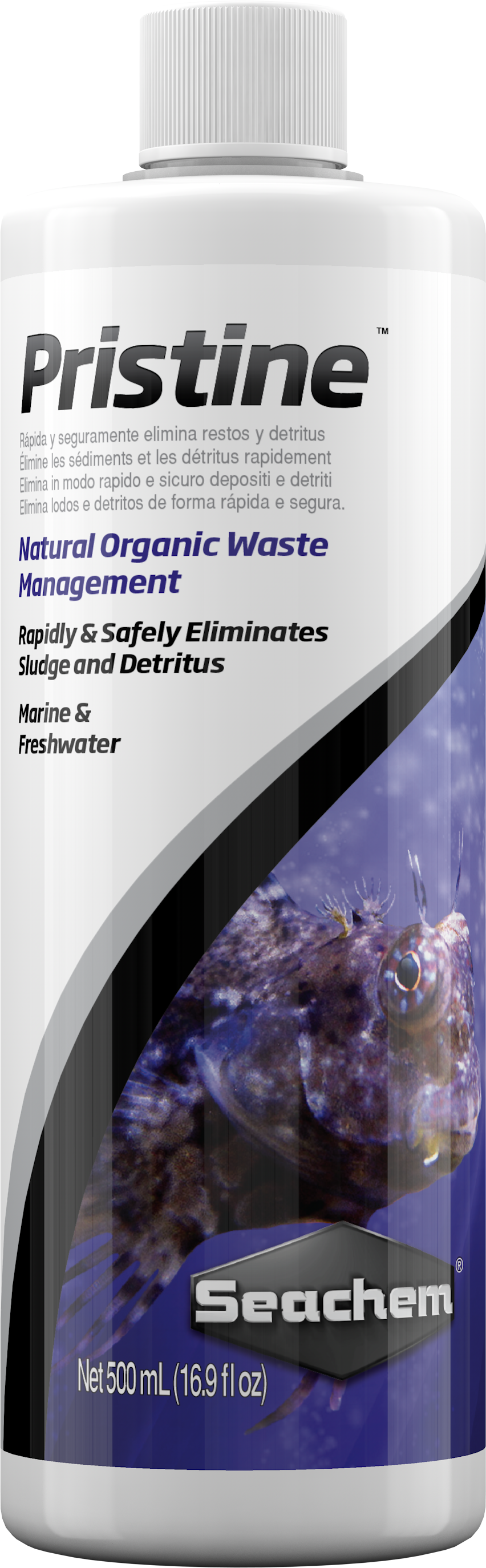 सीचेम प्रिस्टीन