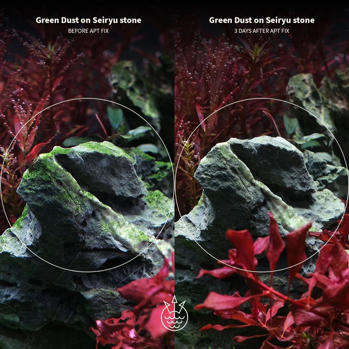 2HR Aquarist APT Fix 200ml for Algae Removal and Aquarium Clarity