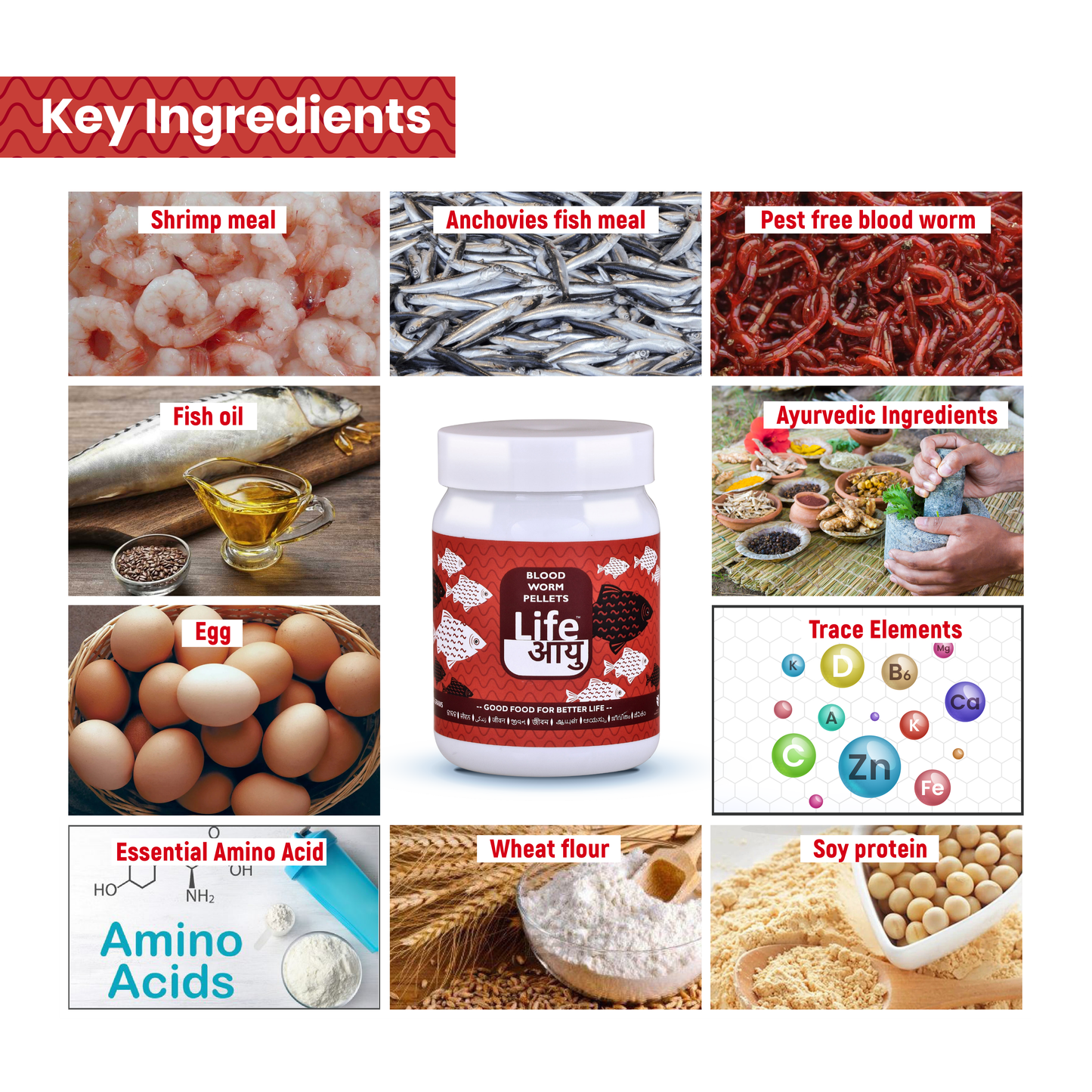 Life Aayu Blood Worm Pellets : High-Quality Blood Worm Pellets Fish Food