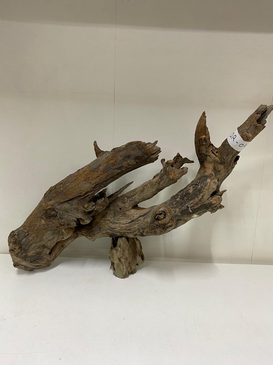 Aquarium Driftwood Mopani Wood (DR04) Aquarium Products India
