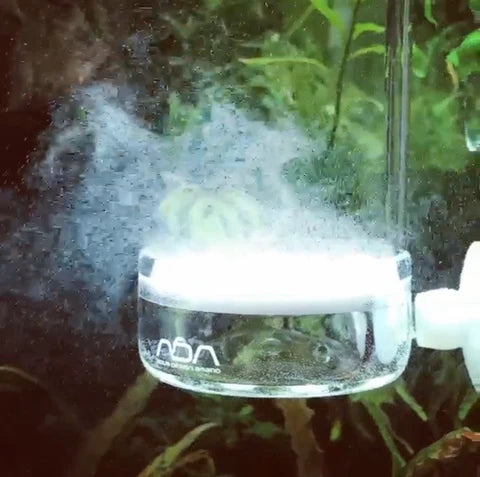 एडीए नेचर एक्वेरियम पराग ग्लास बीटल 400