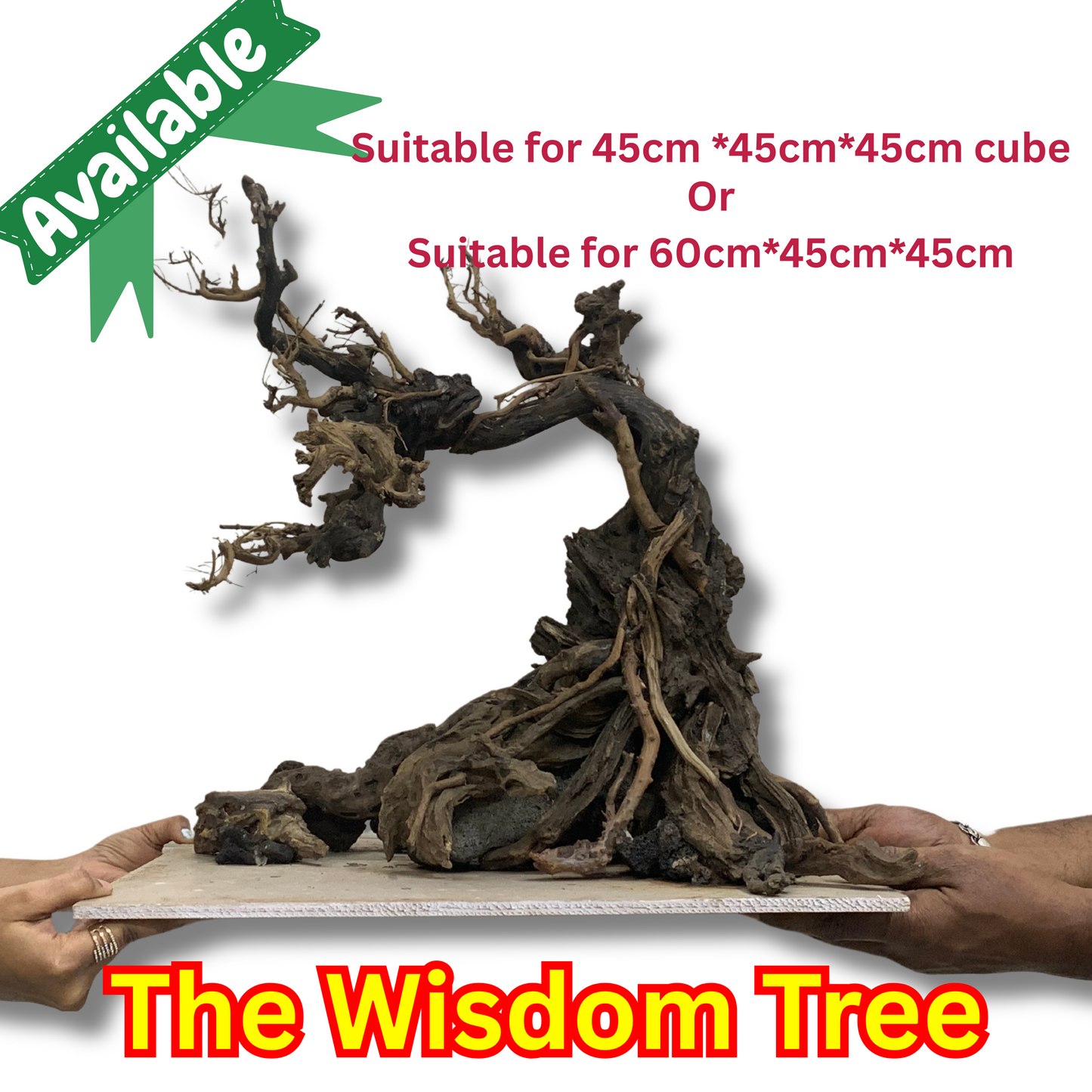 उपयोग के लिए तैयार ड्रिफ्टवुड एक्वास्केप सेटअप- द विजडम ट्री (अतिरिक्त शिपिंग शुल्क लागू होगा)