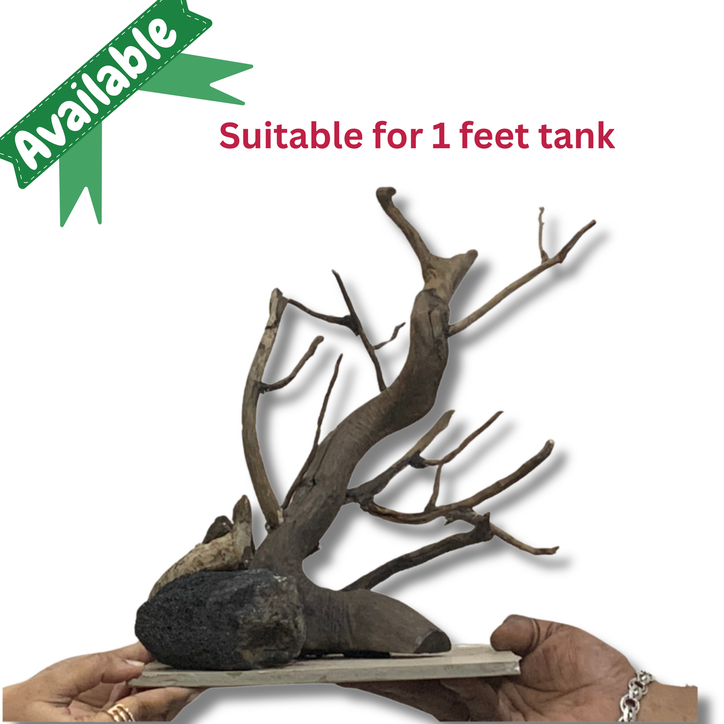 उपयोग के लिए तैयार ड्रिफ्टवुड एक्वास्केप सेटअप - 1 फीट एक्वेरियम टैंक के लिए (अतिरिक्त शिपिंग शुल्क लागू होगा)