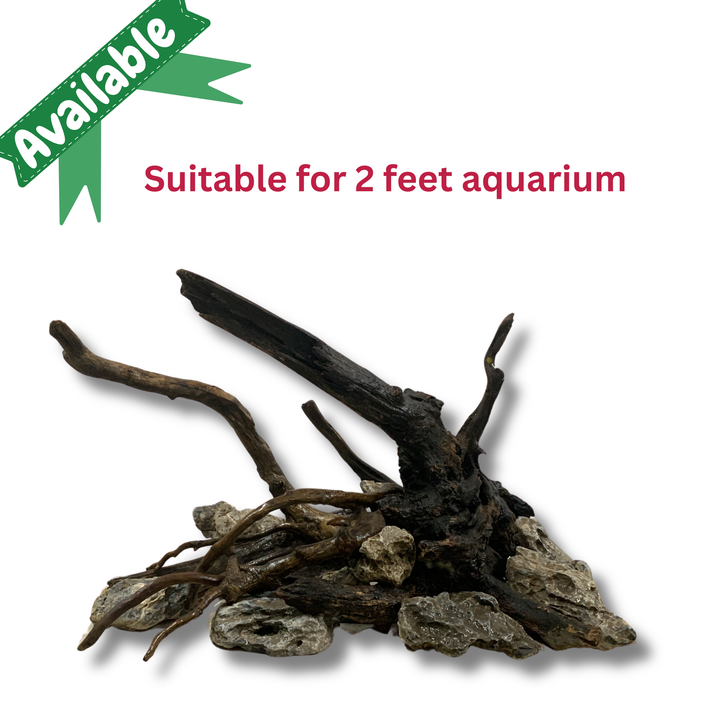 Ready-to-Use Driftwood Aquascape Setup – For 2ft Aquarium (Additional Shipping charges will be applicable)