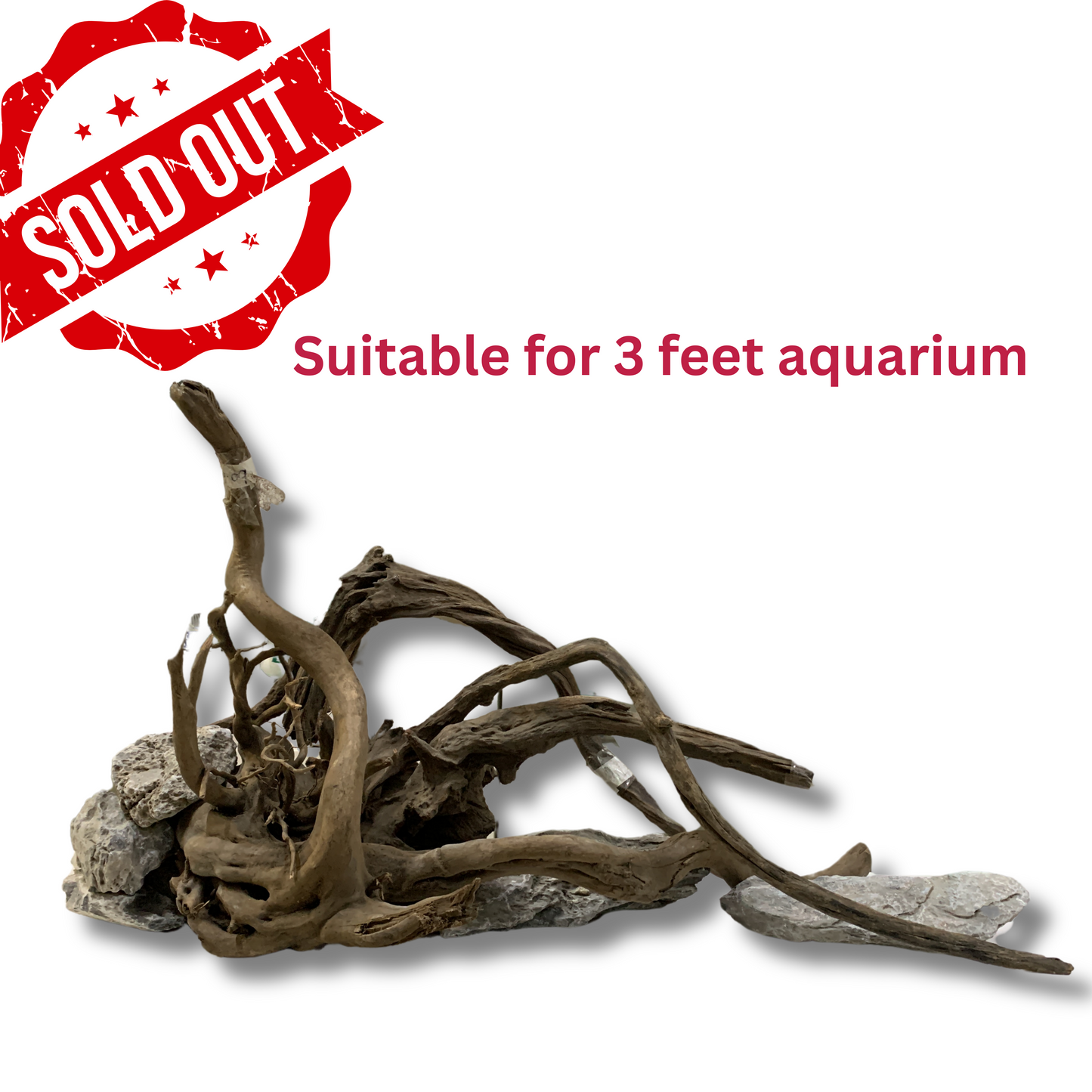 Ready-to-Use Driftwood Aquascape Setup – For 3 ft Aquarium Tank (Additional Shipping charges will be applicable)