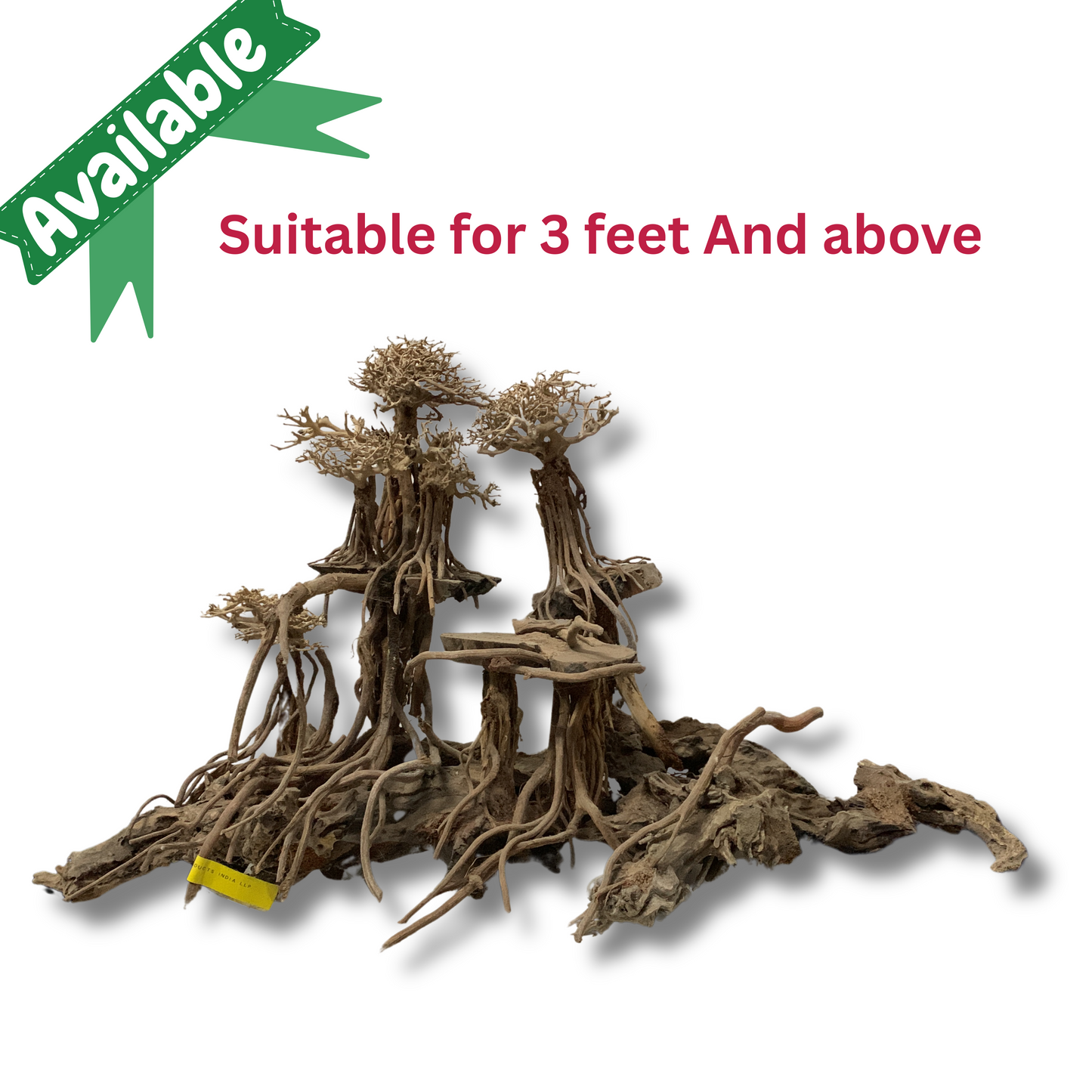 Ready-to-Use Driftwood Aquascape Setup – For 3 ft & Above Aquarium Tank (Additional Shipping charges will be applicable)
