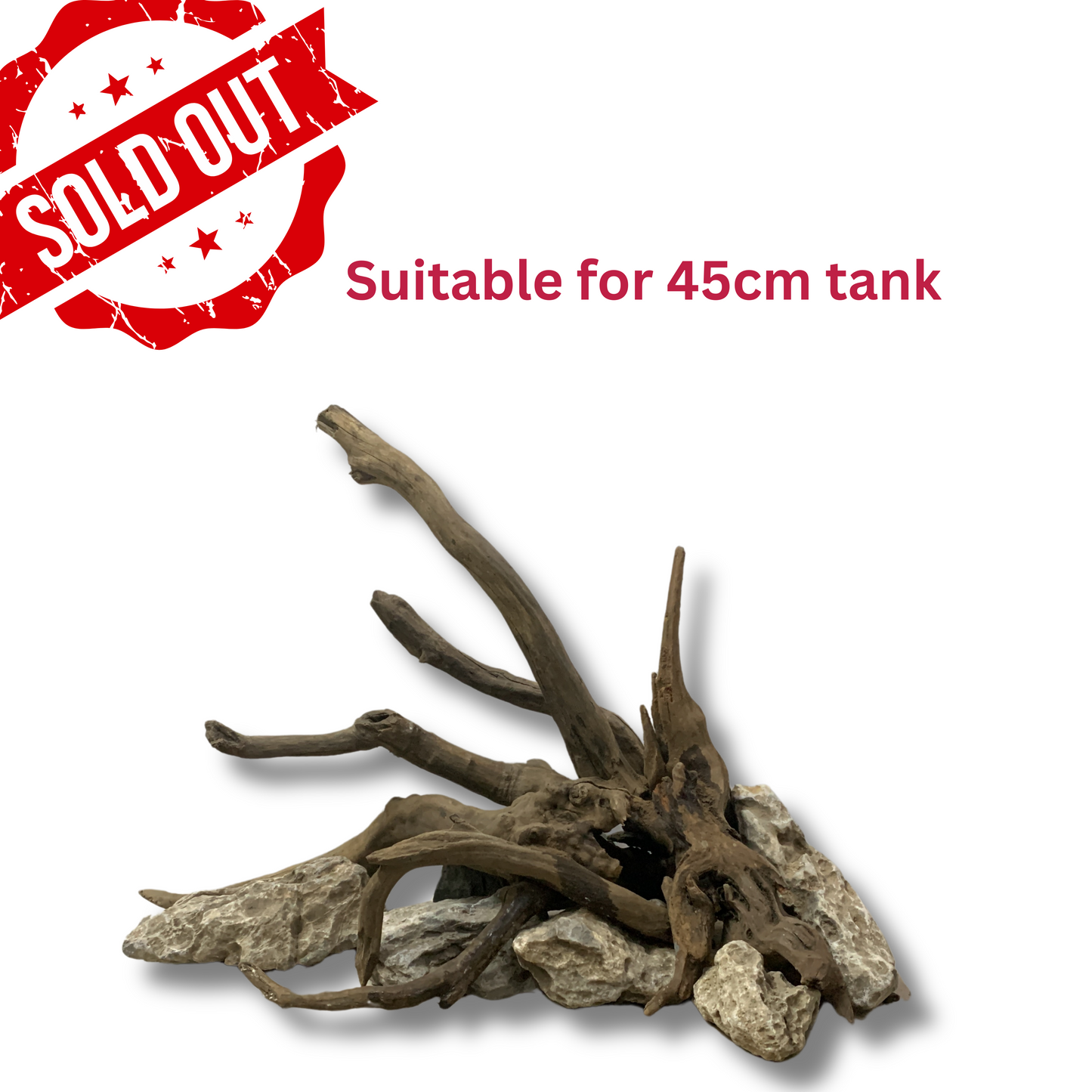 Ready-to-Use Driftwood Aquascape Setup – For 45 cm Aquarium (Additional Shipping charges will be applicable)