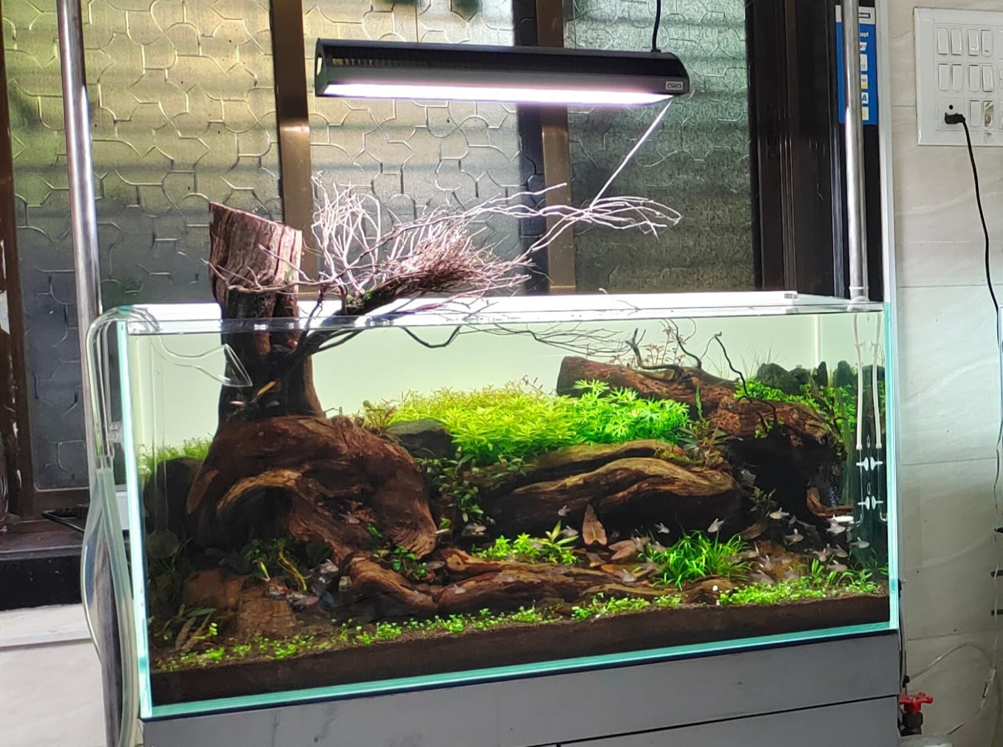 एडीए सोलर आरजीबी