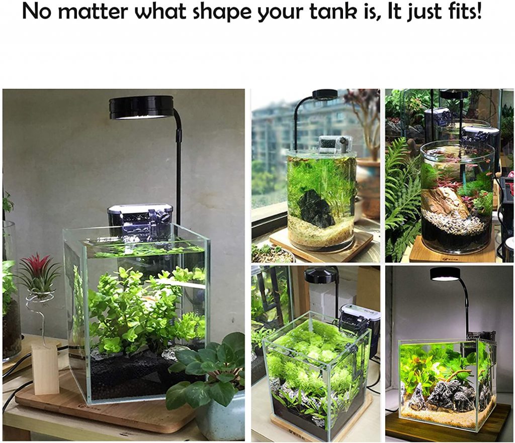 लकड़ी के स्टैंड के साथ प्लांट ग्रोथ लाइट