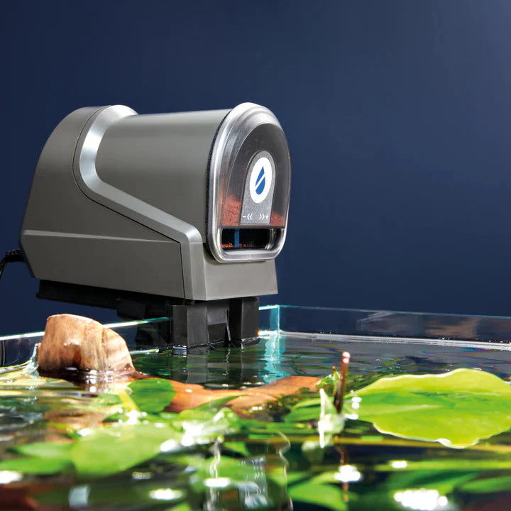 OASE FishGuard Automatic Aquarium Fish Feeder – 12 Feedings/Day, Battery Operated – Ideal for Tropical Tanks, Marine & Freshwater