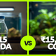 ₹15 Soda vs ₹15,000 CO2 Setup -What Actually Grows Your Planted Aquarium?