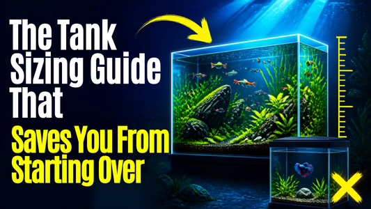 The Tank Sizing Guide That Saves You From Starting Over