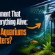 The Equipment That Keeps Everything Alive: Why Do Aquariums Need Filters?