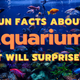 Fun Facts About Aquariums That Will Surprise You
