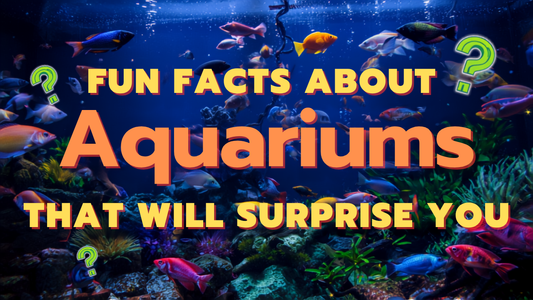 Fun Facts About Aquariums That Will Surprise You