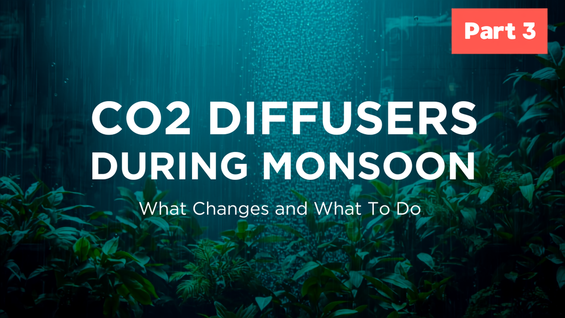 CO2 Diffusers During Monsoon: What Changes and What to Do - Part 3