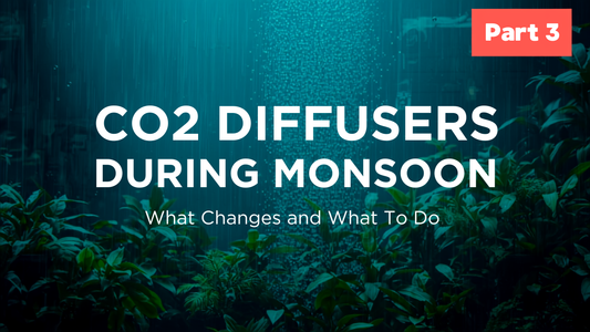 CO2 Diffusers During Monsoon: What Changes and What to Do - Part 3
