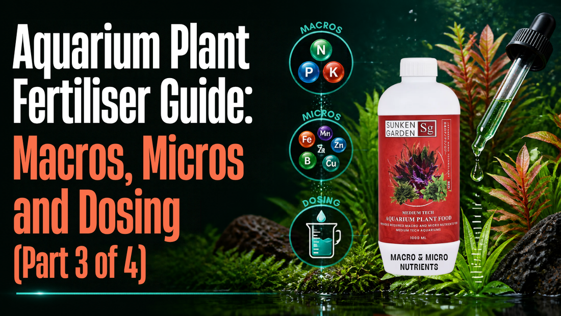 Aquarium Plant Fertiliser Guide: Macros, Micros and Dosing