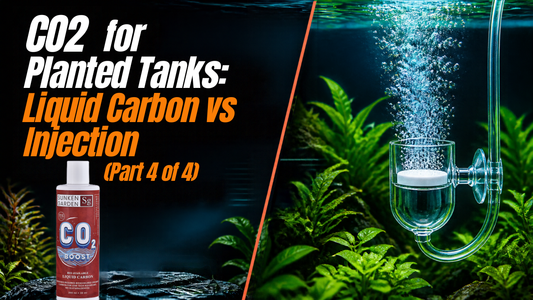 CO2 for Planted Tanks: Liquid Carbon vs Injection Part 4