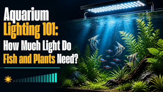 Aquarium Lighting 101: How Much Ligth DO Fish and Plants Need? 