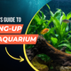 Beginner's Guide to Setting Up Your First Aquarium - Start Right, Stay Hooked