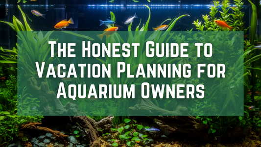 The Honest Guide to Vacation Planning for Aquarium Owners