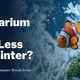 Do aquarium fish eat less in winter? Everything Fish Keepers Should Know
