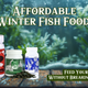 Affordable fish food options for winter feeding available online