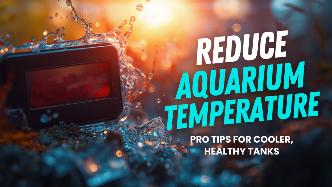 How to reduce Aquarium temperature in summer Fish Aquarium?
