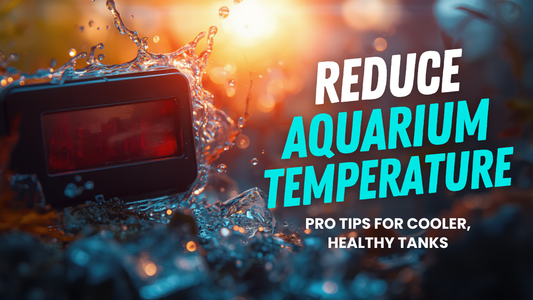 How to reduce Aquarium temperature in summer Fish Aquarium?