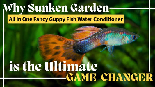 Why Sunken Garden All In One Fancy Guppy Fish Water Conditioner is the Ultimate Game-Changer