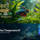 what is the perfect fish tank temperature for indian winters ?