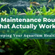 The Maintenance Routine That Actually Works- keeping Your Aquarium Healthy