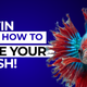 Fin Rot in Aquarium Fish: Why Your Fish's Fins Are Disappearing and How to Stop It