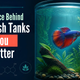 The Science Behind Why Fish Tanks Make You Feel Better