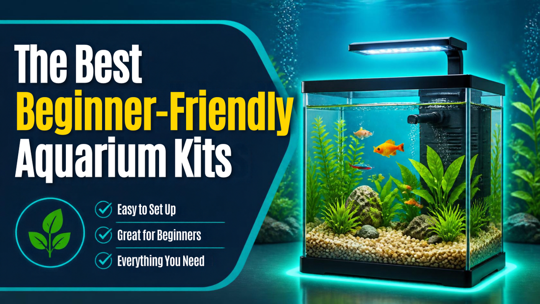 The Best Beginner-Friendly Aquarium Kits