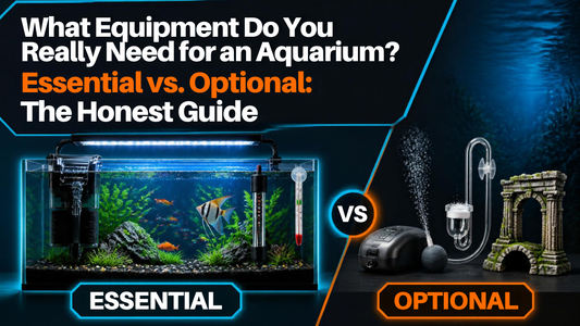 What Equipment Do You Need For An Aquarium? Essential vs. Optional: The Honest Guide