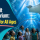 Why VIsit An Aquarium: Benefits For All Ages