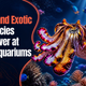 Unique and Exotic Fish to Discovver at Public Aquariums