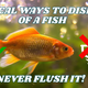 What are the ethical ways to dispose of a fish ??? DO NOT FLUSH IT.