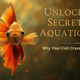 Unlock the Secrets of Aquatic Bliss: Why Your Fish Crave Indian Food