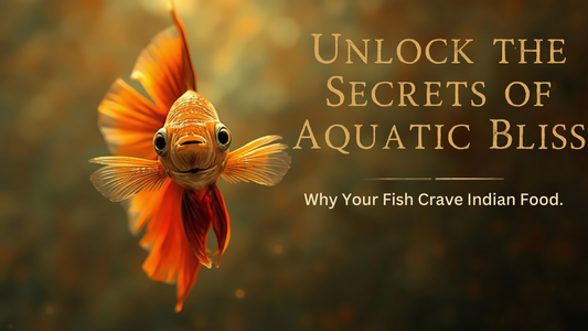 Unlock the Secrets of Aquatic Bliss: Why Your Fish Crave Indian Food