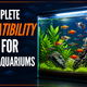 The Complete Compatibility Guide for Indian Aquarium