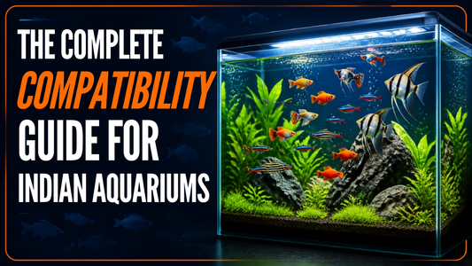 The Complete Compatibility Guide for Indian Aquarium