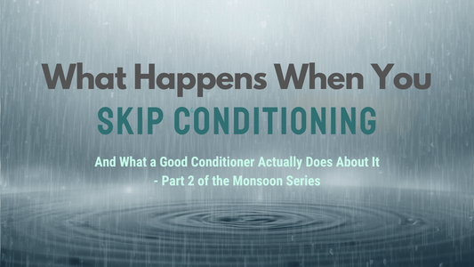 What a Good Fish Conditioner Actually Does