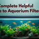 The Complete Guide to Aquarium Filters That You Will Find Helpful During The Monsoon