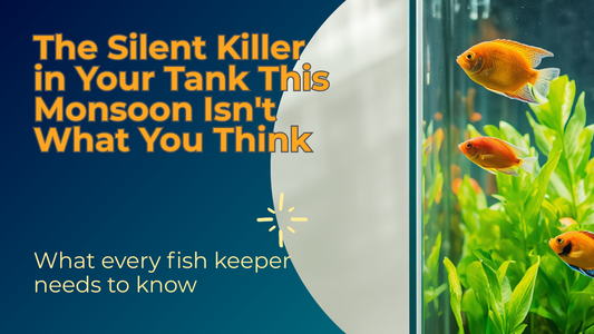 The Silent Killer in Your Tank This Monsoon Isn't What You Think